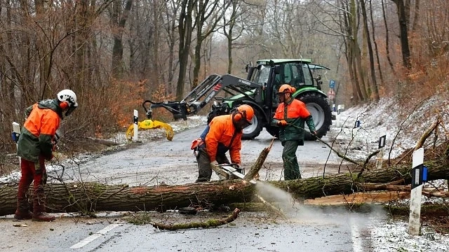 Ураганни ветрове в Централна Европа