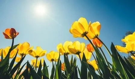 Днес слънчево и топло. Максималните температури ще са между 21° и 26°