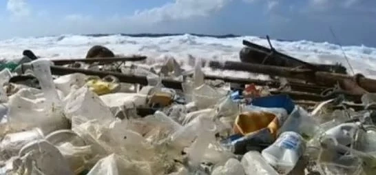 ЕП с мерки срещу пластмасата за еднократна употреба
