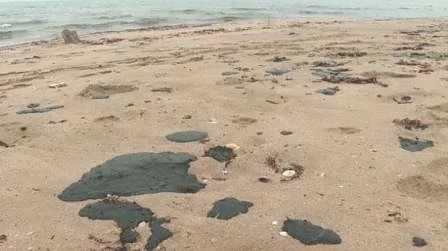 Замърсяване с мазут на плажа в Албена
