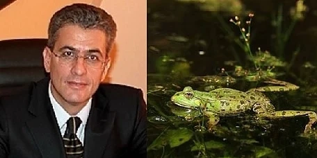 Вижте какво разказва кметът на Пазарджик за едно \