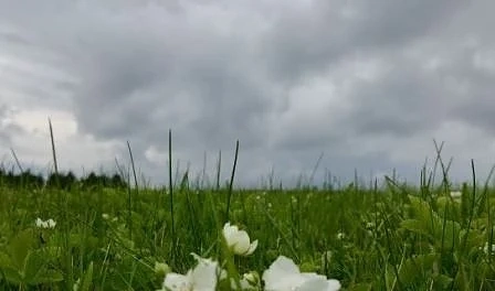 Днес разкъсана облачност с краткотрайни валежи. Максималните температури ще са между 18° и 23°