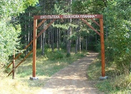 ПСС спаси две деца в Лозенската планина