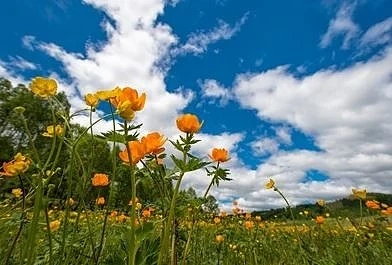 Днес слънчево с максимални температури между 27° и 32°