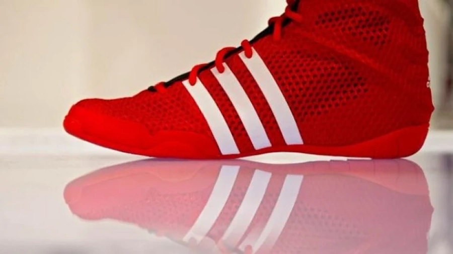 Съд на ЕС: Търговската марка на Adidas с трите ленти е невалидна