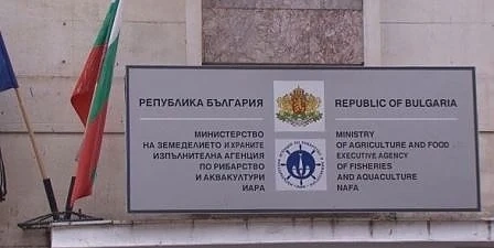 България е загубила над 7 млн. евро по рибарската програма 