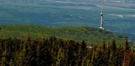 Малко дете беше оставено на Витоша  