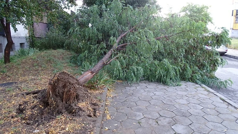 Нова буря удари Плевен