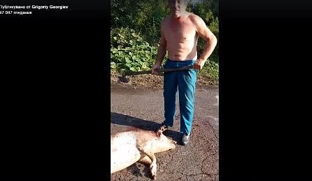 Свиневъд псува властта до девето коляно 
