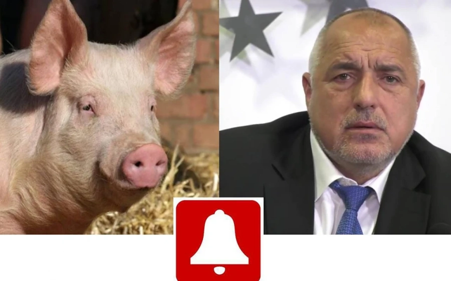 Къде си, кръстнико на катастрофата?