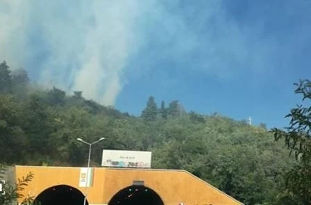 Гори гората над Дупница