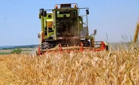 Жътвата на пшеницата приключва с реколта над 5,8 млн. тона
