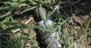 Земеделец намери бомба от Втората световна война докато оре нивата си