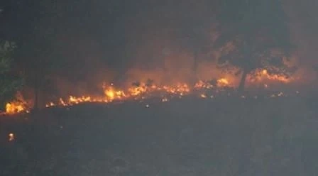 Пожар гори между село Брягово и село Искра