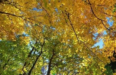 Днес слънчево с максимални температури между 27° и 32°