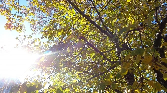 Слънце в неделя