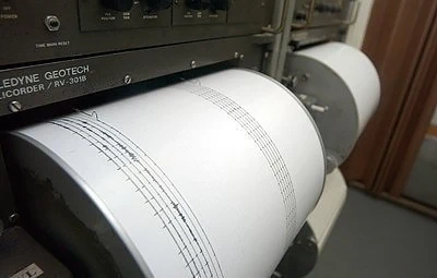 Над 60 труса са регистрирани в Черна гора