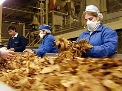 „Логистик Груп Инвест“ придобива бизнеса на British American Tobacco в България