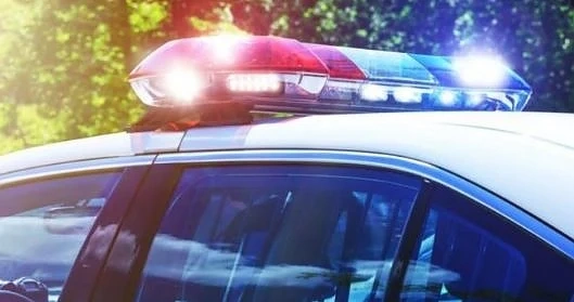 Британец уби куче в хотел в Банско