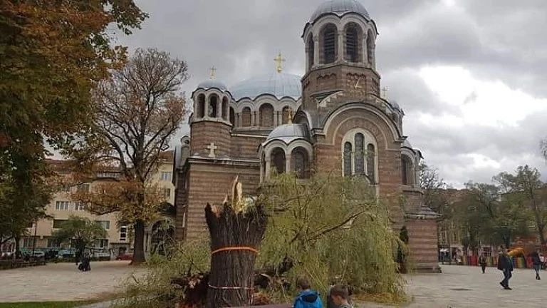 Падна една от върбите пред Св. Седмочисленици в София
