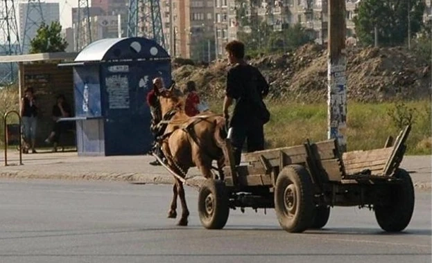 Почина детето, което падна от каруца в Луковит