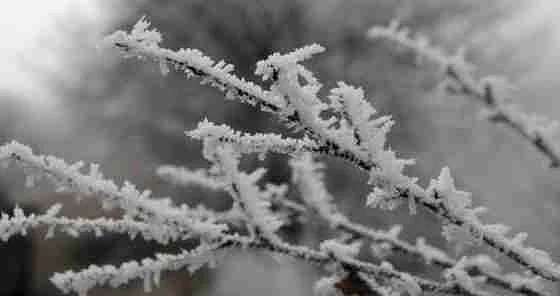 Какво време ни очаква днес