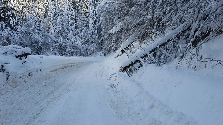 Сняг вали в 12 области