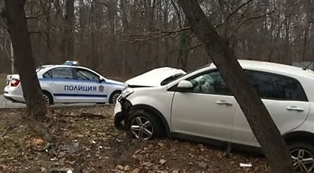 Кола излетя от пътя и се приземи в Борисовата градина в София (СНИМКИ)