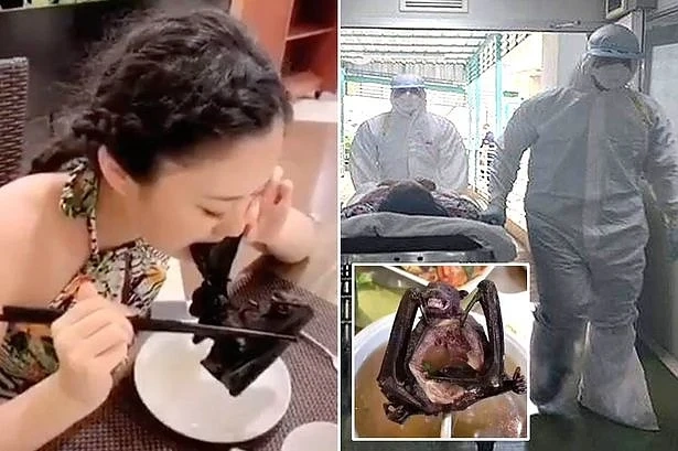 Отровни змии или супа от прилепи е най-вероятната причина за вируса-убиец в Китай