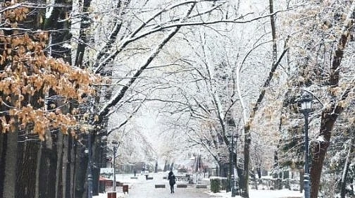 Днес облачно и ветровито с максимални температури между 2° и 7°