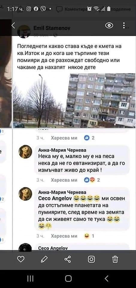 Анна-Мария Чернева вбеси мрежата с жесток коментар за уличните кучета