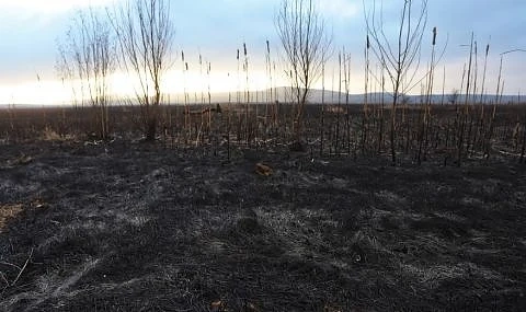 Пожар край село Плана