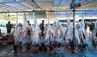 Шокиращи кадри от заклани животни на пазарите в Азия