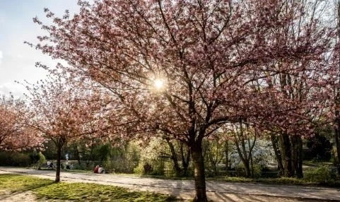Днес слънчево и топло с максимални температури между 21° и 26°