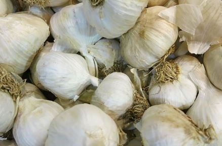 Зрелият чесън стана по-скъп от пилешкото месо