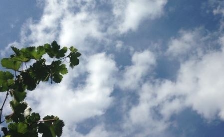 Днес ще има разкъсана облачност. Максималните температури ще са между 22° и 27°