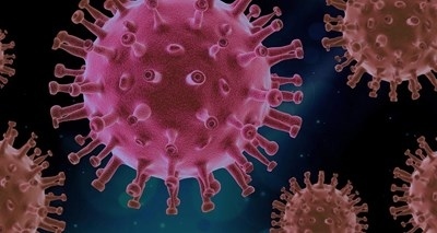 Учени установиха защо мъжете са по-уязвими на коронавируса