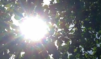 Днес слънчево и горещо с максимални температури между 29° и 34°