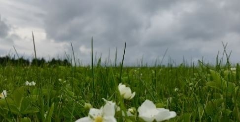 Днес облачно с максимални температури между 25° и 30°