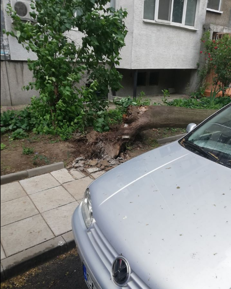 Силна буря изкорени дървета и потроши коли в София