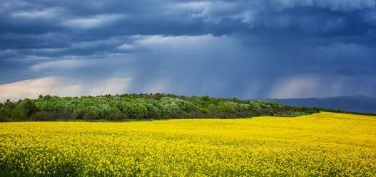 Днес облачно, след обяд с валежи. Максималните температури ще са между 23° и 28°