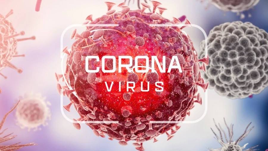Осем абитуриенти са сред новоустановените с Covid-19 в Добричка област