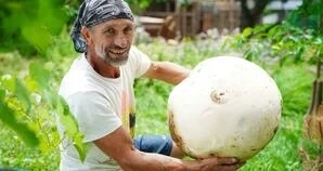 Откриха пърхутка-гигант край село Воден