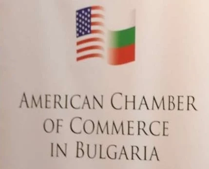 Върховенство на закона и конкретни планове поиска AmCham от България