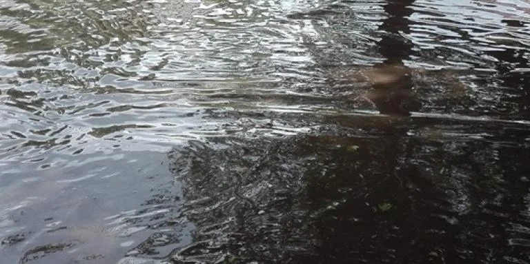 Потоп заля Благоевград