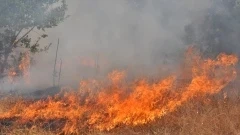 Продължава бедствието в Сакар планина 