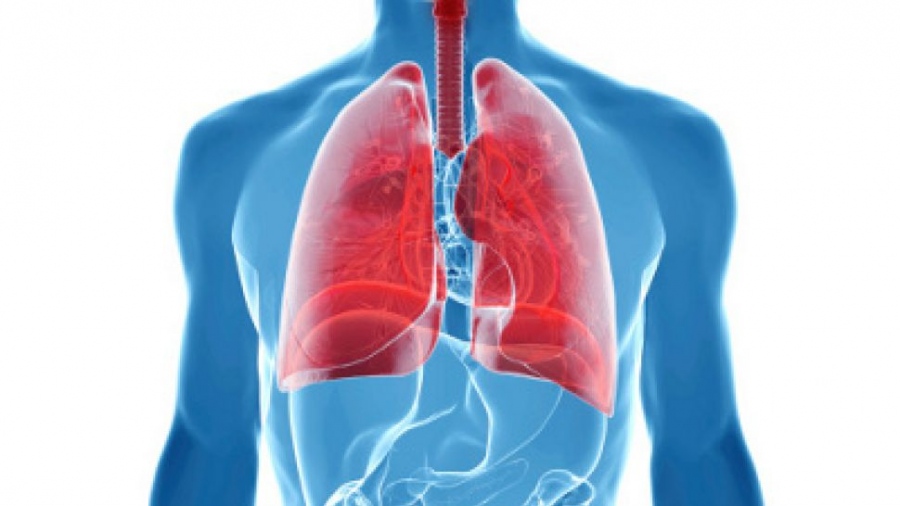 Пулмолози: Изкаралите Covid-19 да направят безплатен преглед на белите дробове