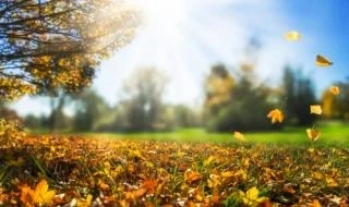 Днес слънчево с максимални температури между 27° и 32°
