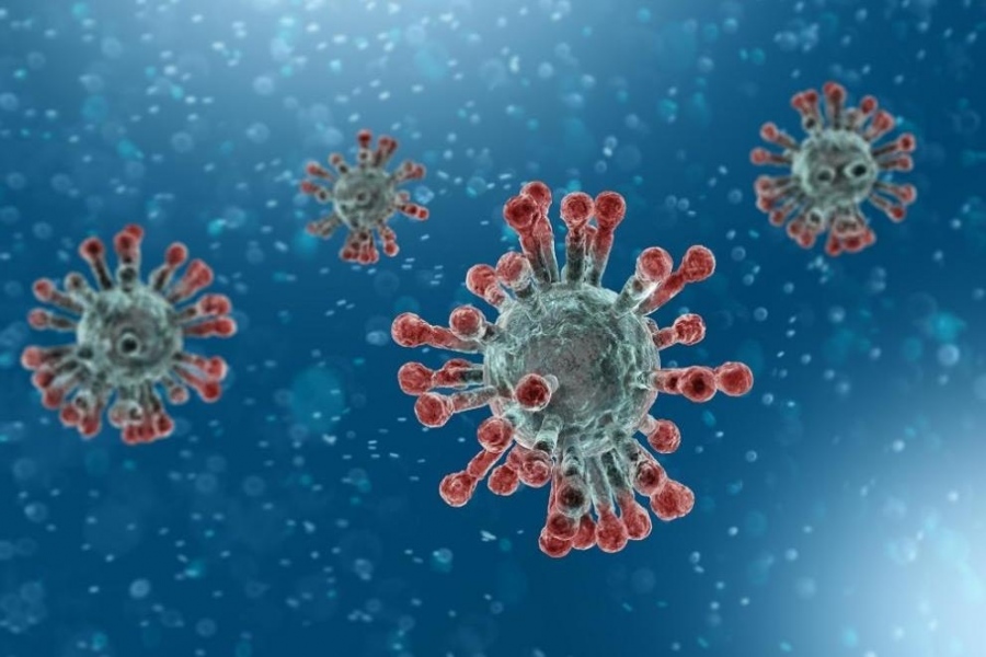 23 жертви на коронавирус у нас през изминалото денонощие  
