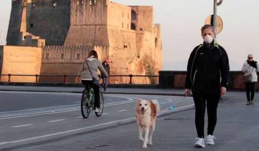 Куче с коронавирус в Италия